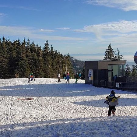 Bdapartmany Lipno nad Vltavou Dış mekan fotoğraf