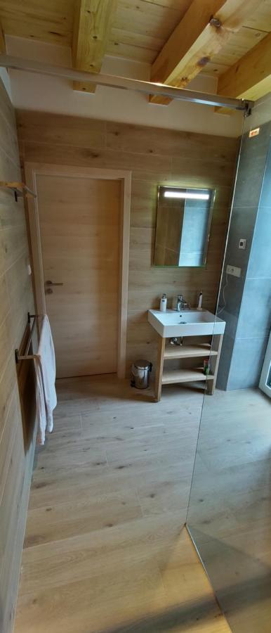 Bdapartmany Lipno nad Vltavou Dış mekan fotoğraf
